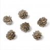 Pomme de pin paillettes champagne 3cm