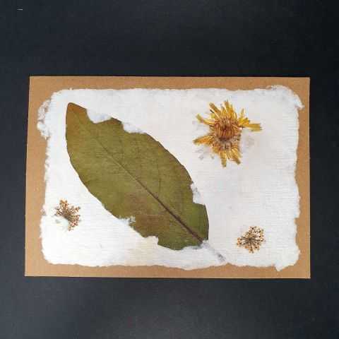 Feuille et fleurs séchées sur carte double kraft