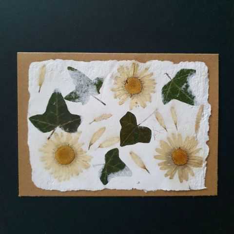 Carte artisanale avec inclusions végétales de Lierre et fleurs de marguerites