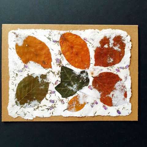 Cartes avec papier artisanal et inclusions de feuilles séchées.