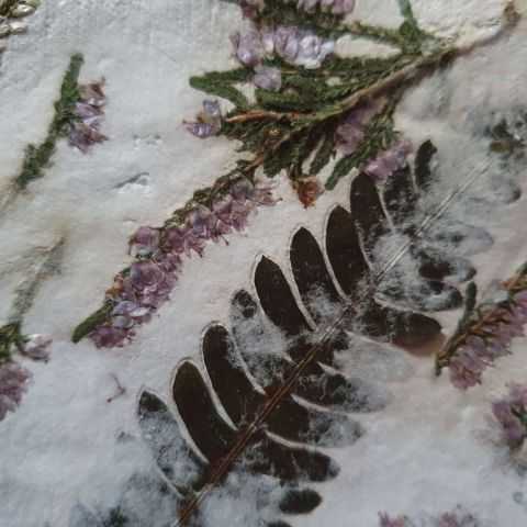 détail d'une inclusion de fougère dans papier artisanal.