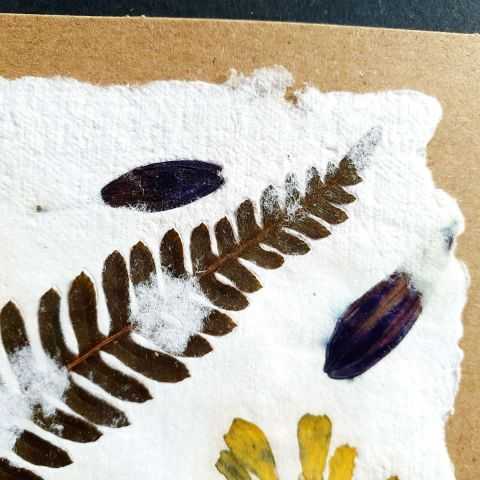 détail des inclusions végétales dans le papier artisanal.