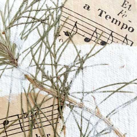 inclusion herbes et notes de musique dans papier artisanal pour carte.