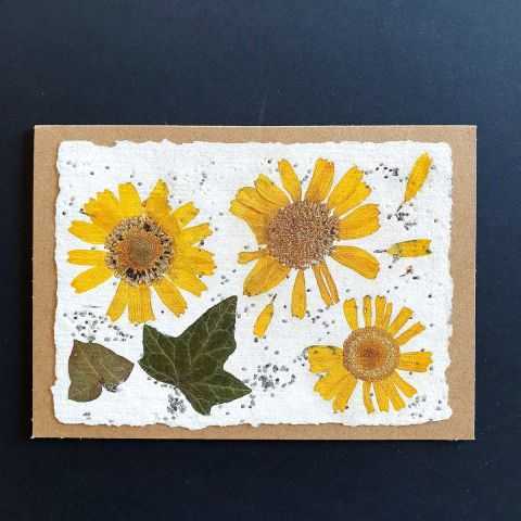 Trois fleurs jaunes et feuille de lierre pour carte sur papier artisanal