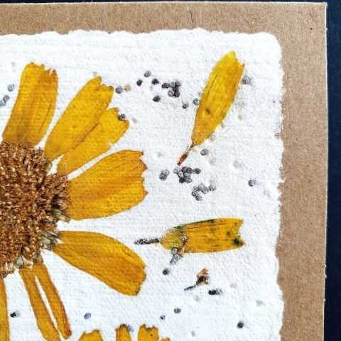 détail fleur jaune éclatant et graine de pavot pour carte artisanale.