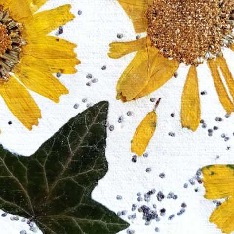 Feuille de lierre et pétales jaunes en inclusion dans papier artisanal.