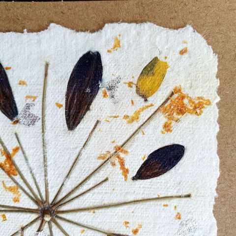 Pétales d'agapanthe sur papier artisanal pour la création d'une carte unique.