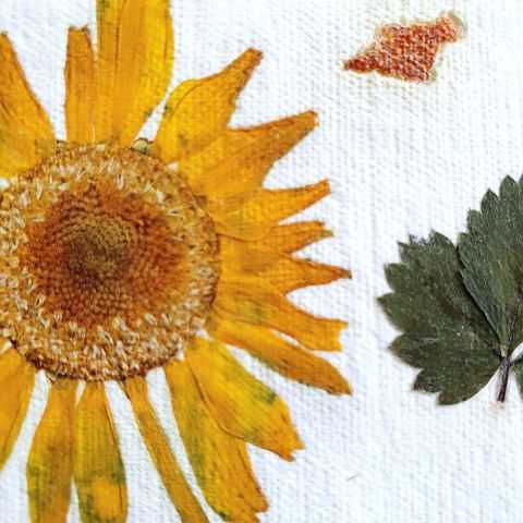 Zoom sur une des fleurs jaunes dans du papier artisanal