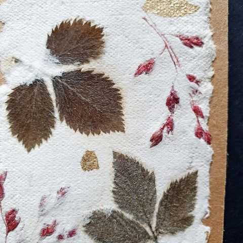 Inclusions de ronce et graminées de couleur dans papier artisanal
