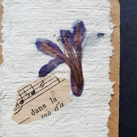 Fleur d'Agapanthe et notes de musique en inclusion dans papier artisanal.