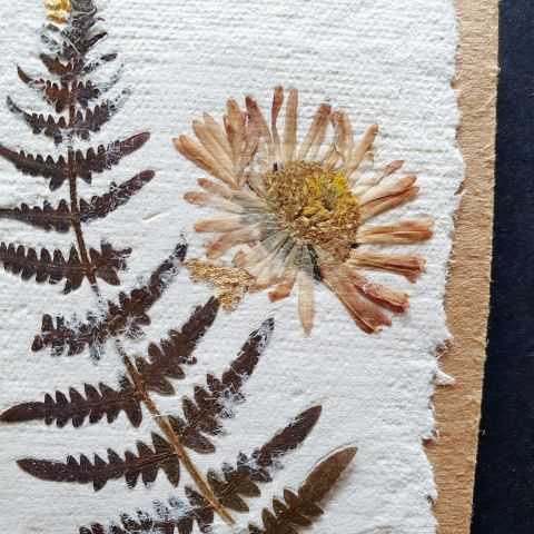 Fougère et marguerite en inclusion sur papier végetal.