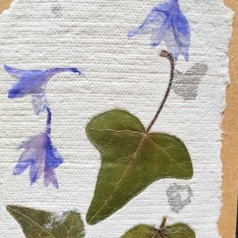 Feuille de lierre et pétales de bleuets pour étiquettes artisanales