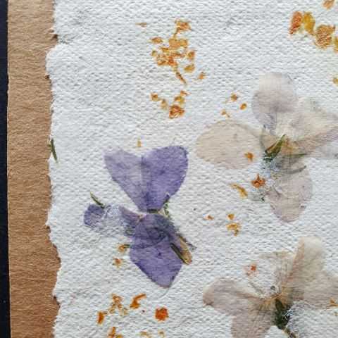 Violette et zestes d'orange sur papier fait main et création d'étiquette