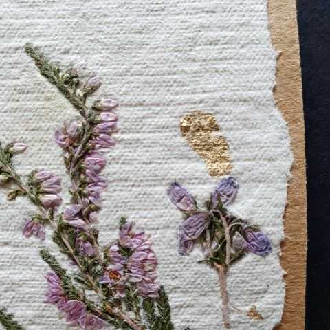 Fleur de Bruyère et éclats dorés pour étiquette sur papier artisanal et kraft.