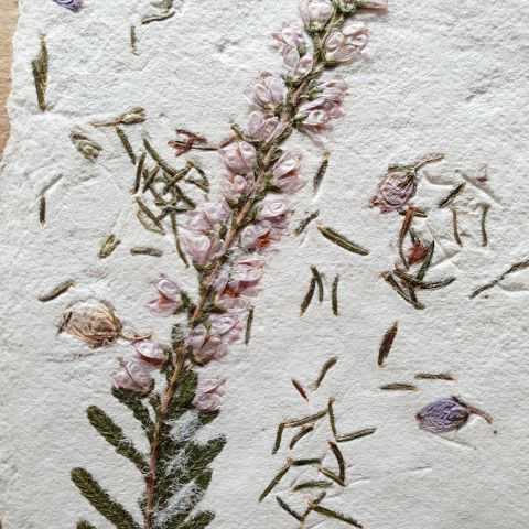Fleur de bruyère en inclusion dans papier fait main pour étiquette unique.