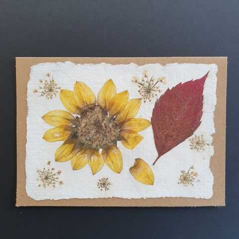 Inclusions végétales de Tournesol et d'une feuille rouge pour carte artisanale