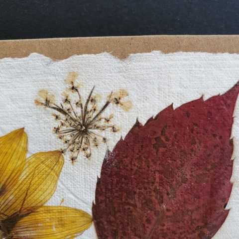 Détail d'une feuille rouge dans papier artisanal pour carte.