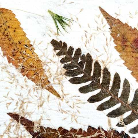 Fougère et feuilles jaunes en inclusion dans papier artisanal