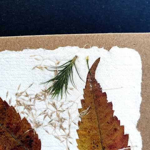 Détail d'une feuille sur carte artisanale unique.